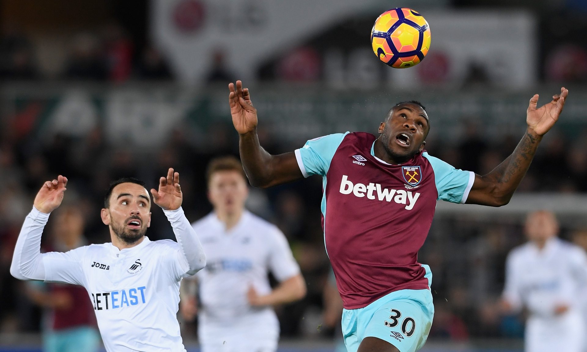 表明他预见 表明他预见